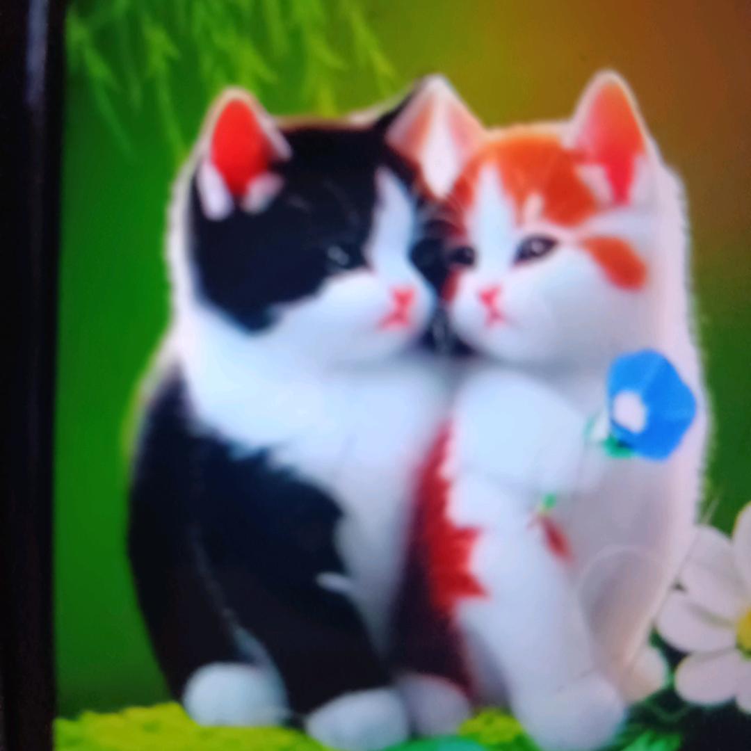 家和万事兴88家和万事兴