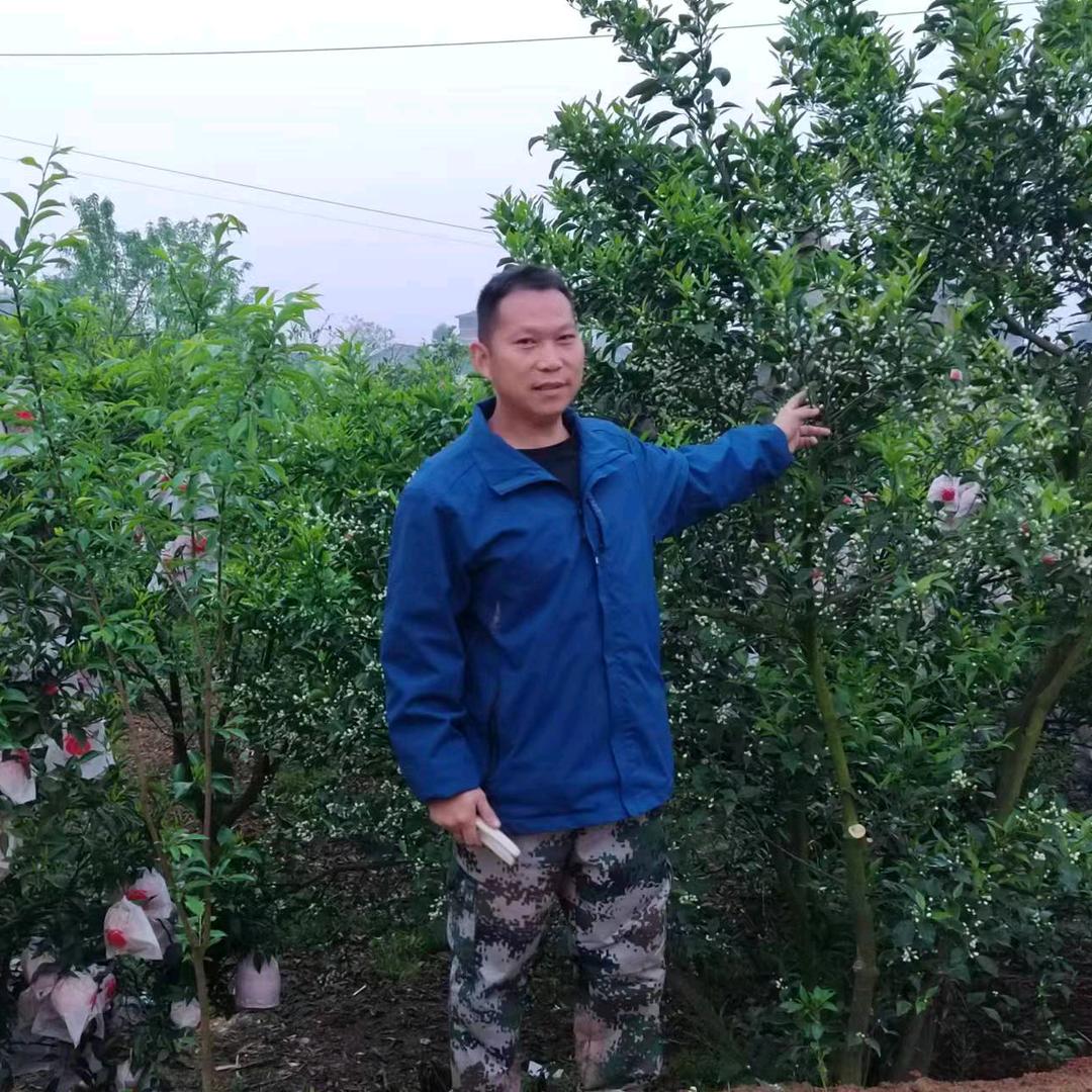 二手厨房设备老李（收售）