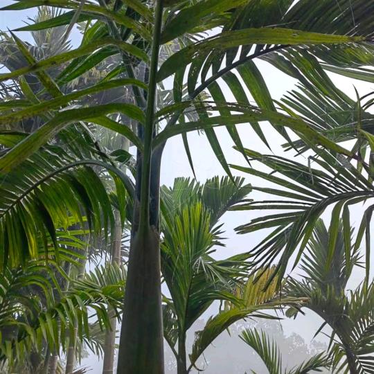 手机用户83794728539