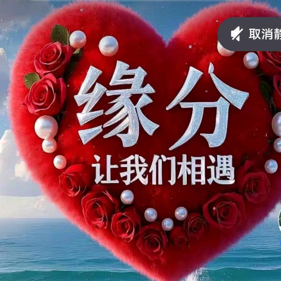 《狼宝宝🐺》字幕君