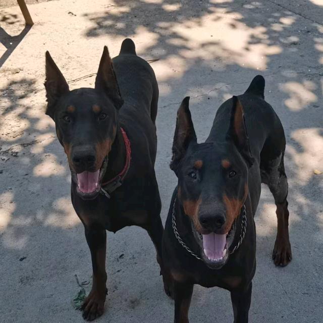 山高路远！！！！