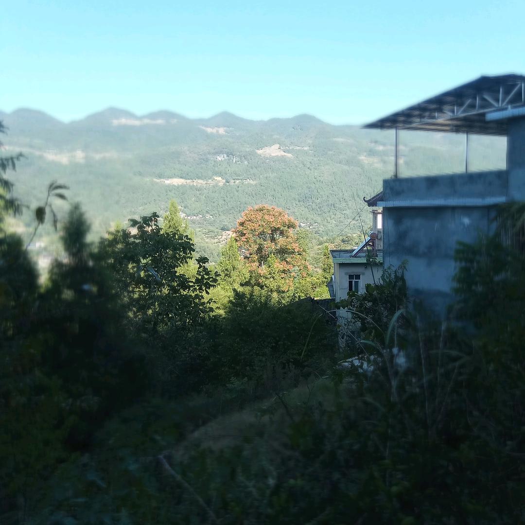 幸福长在