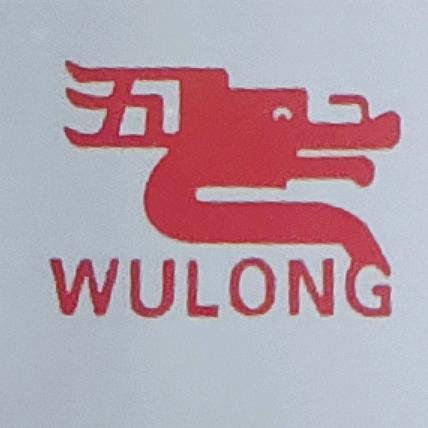 五龙汽修汽车电子数据优化