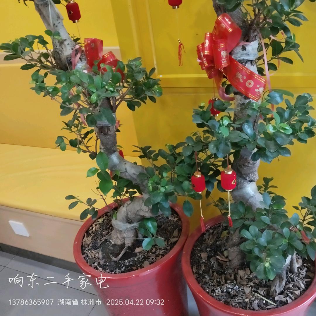 响东制冷
