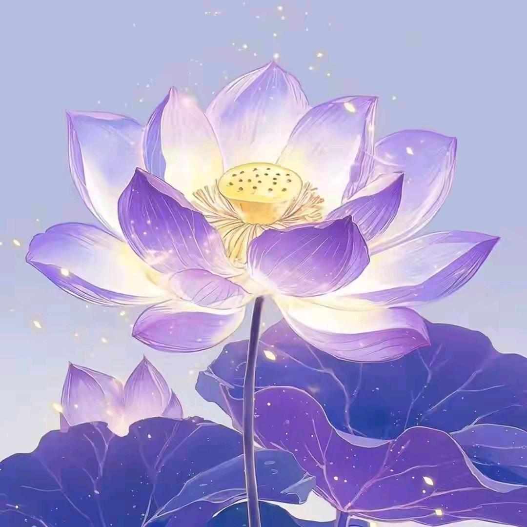 用户1368。。。。。。