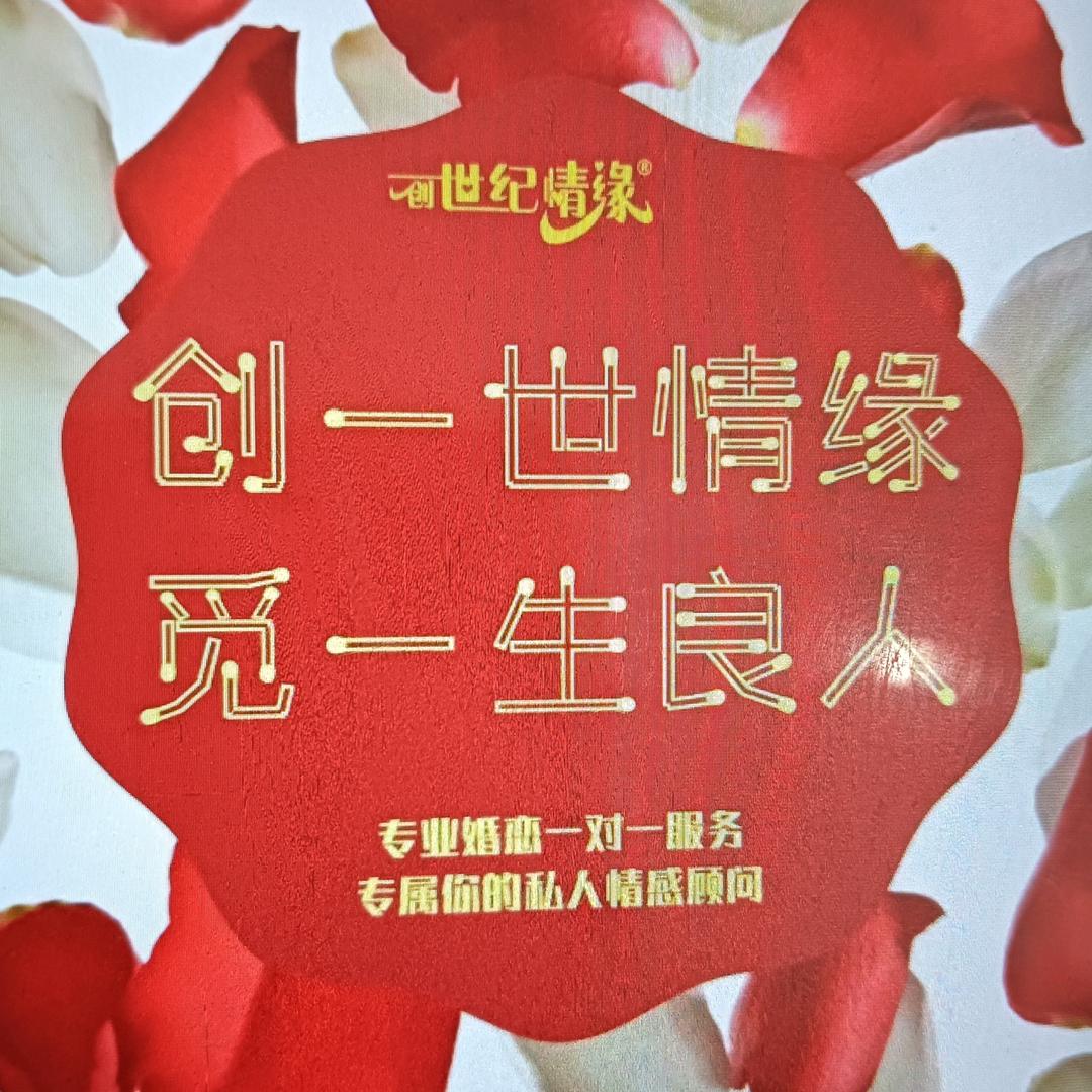 镇平说媒王老师11年