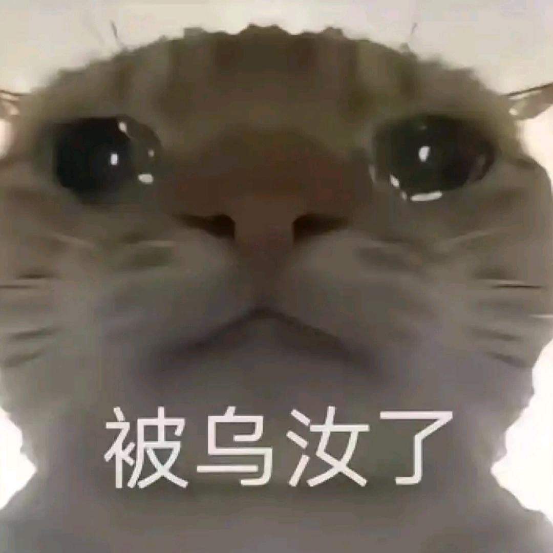 羊村(三角洲行动)