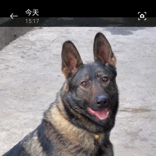 用户7930112632788辉煌向钱冲