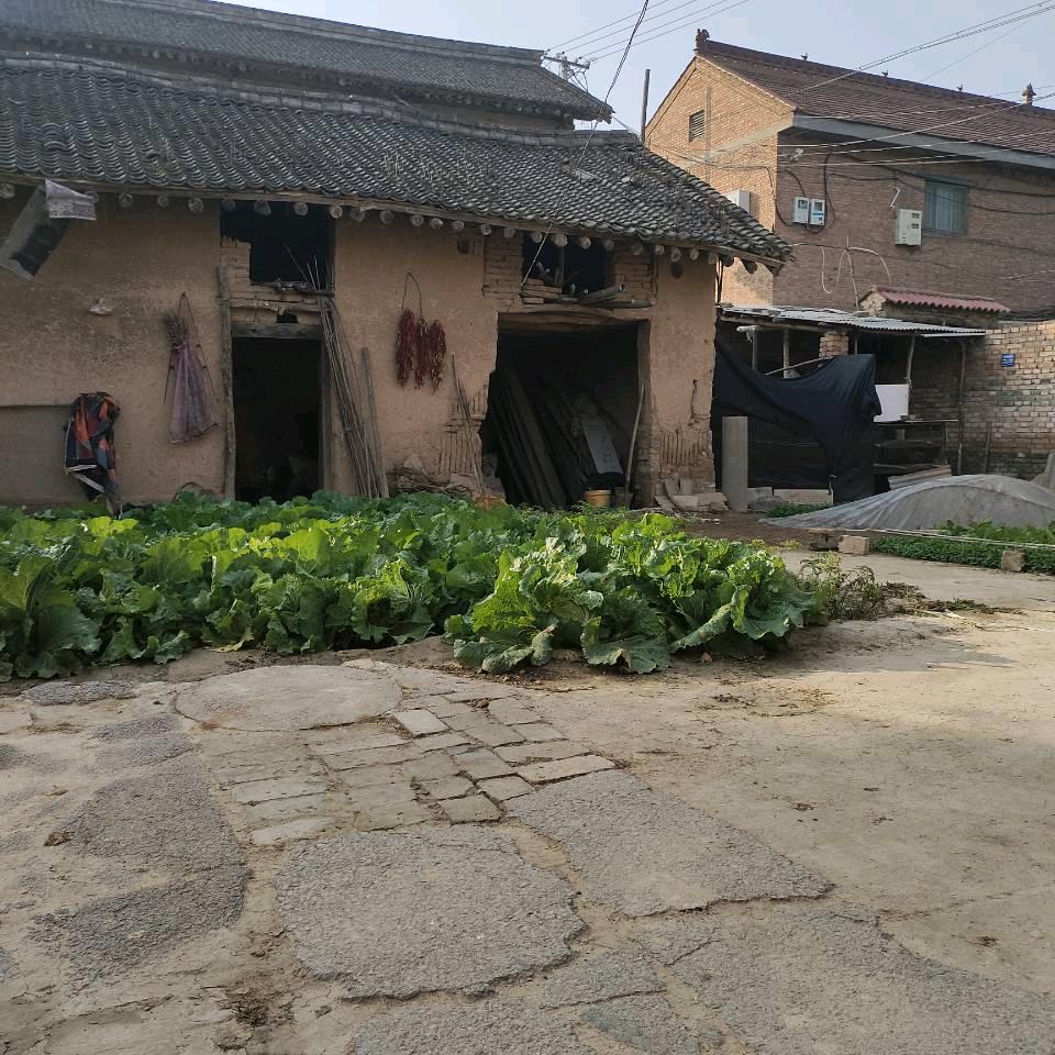爱你的人