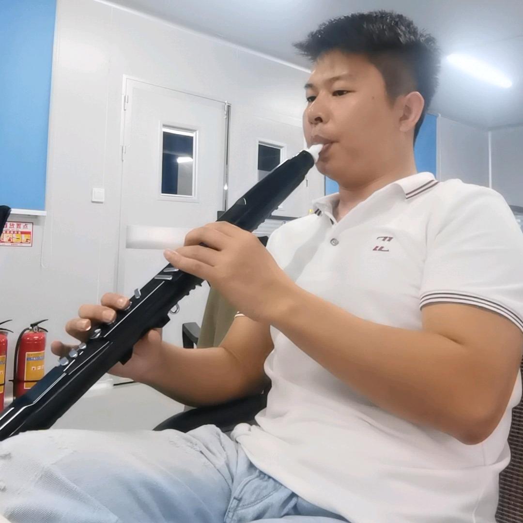 牛怪电吹管