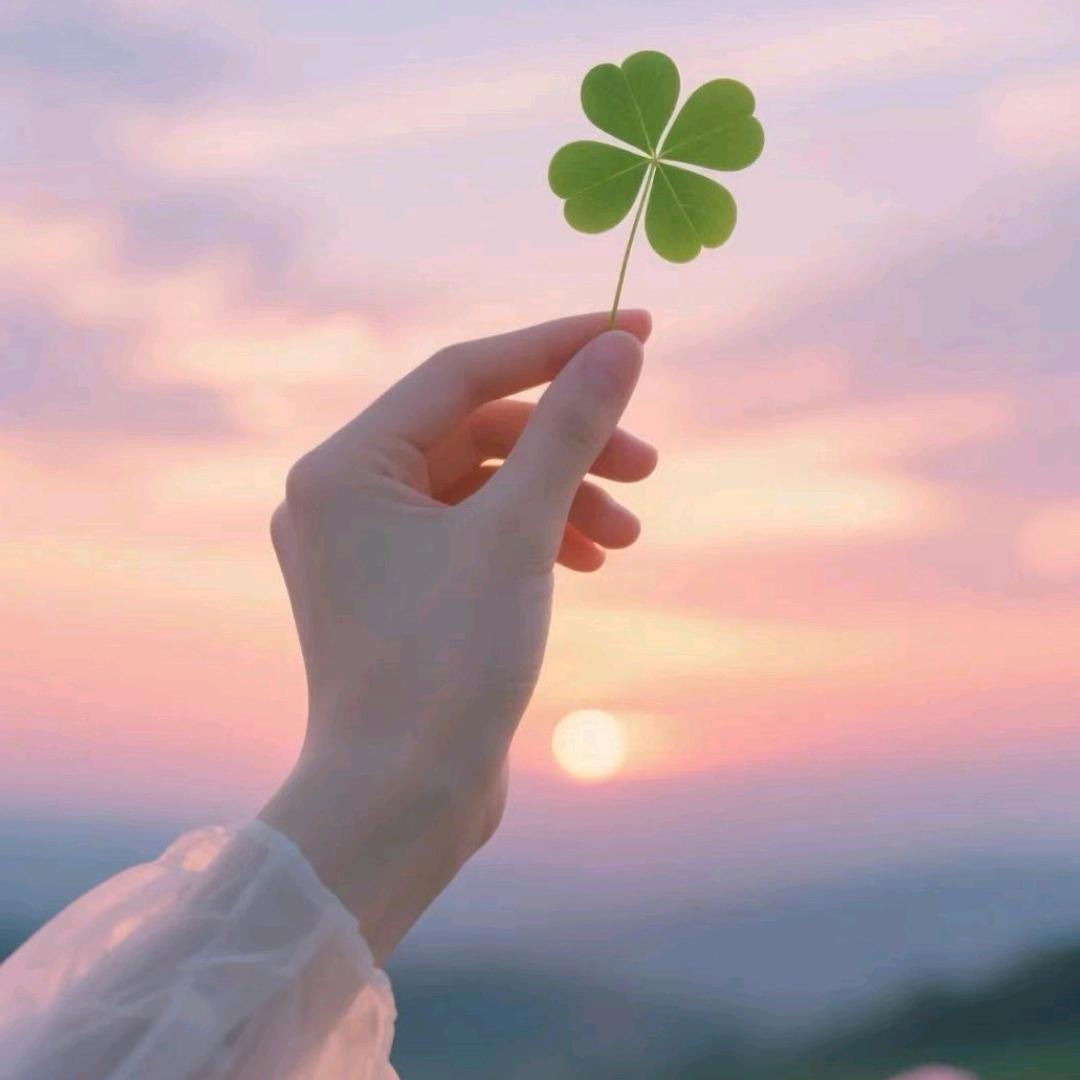 爱吃猫🐱的鱼🐠