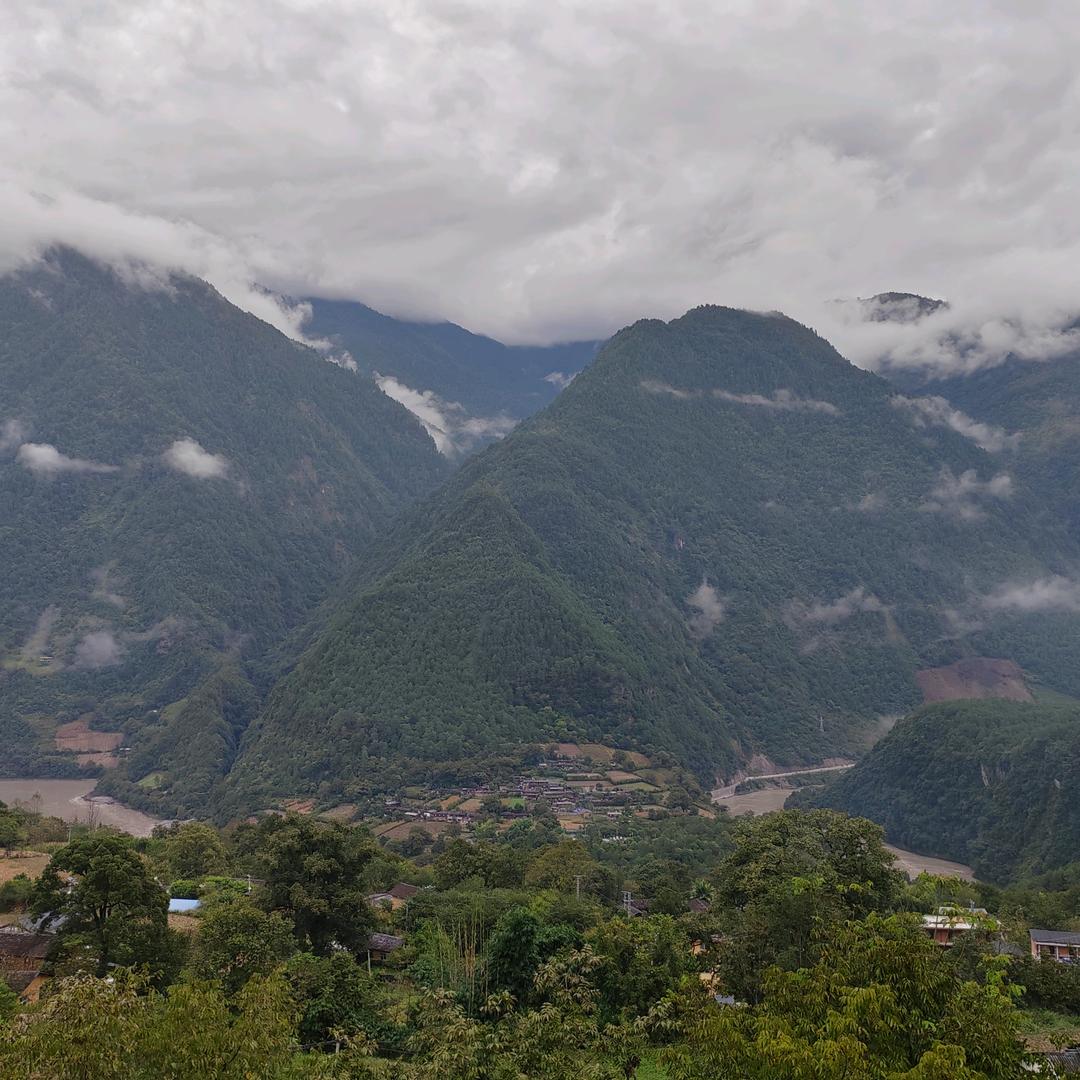 虫虫🐛爬啊爬🐛