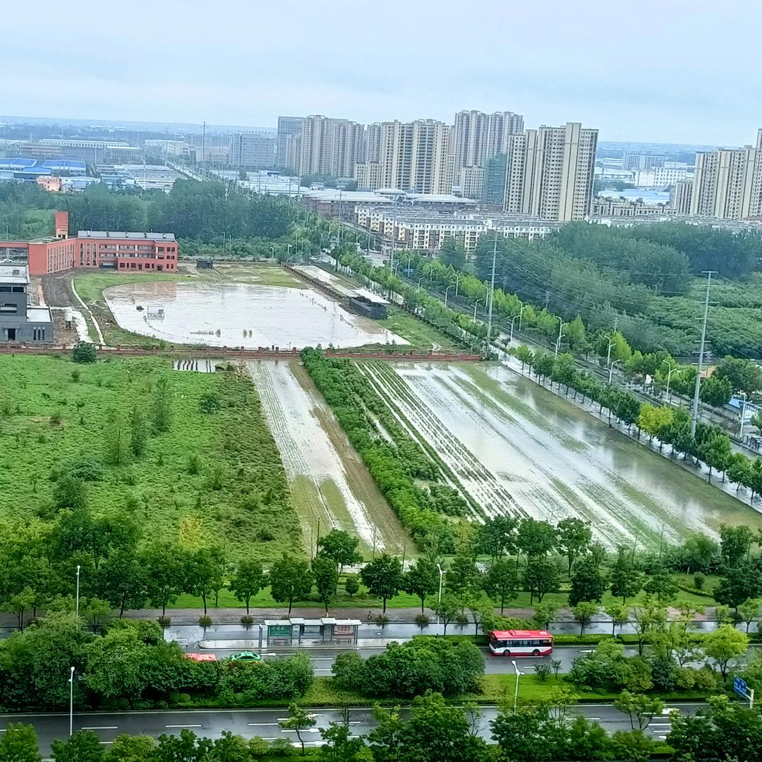 宇雨
