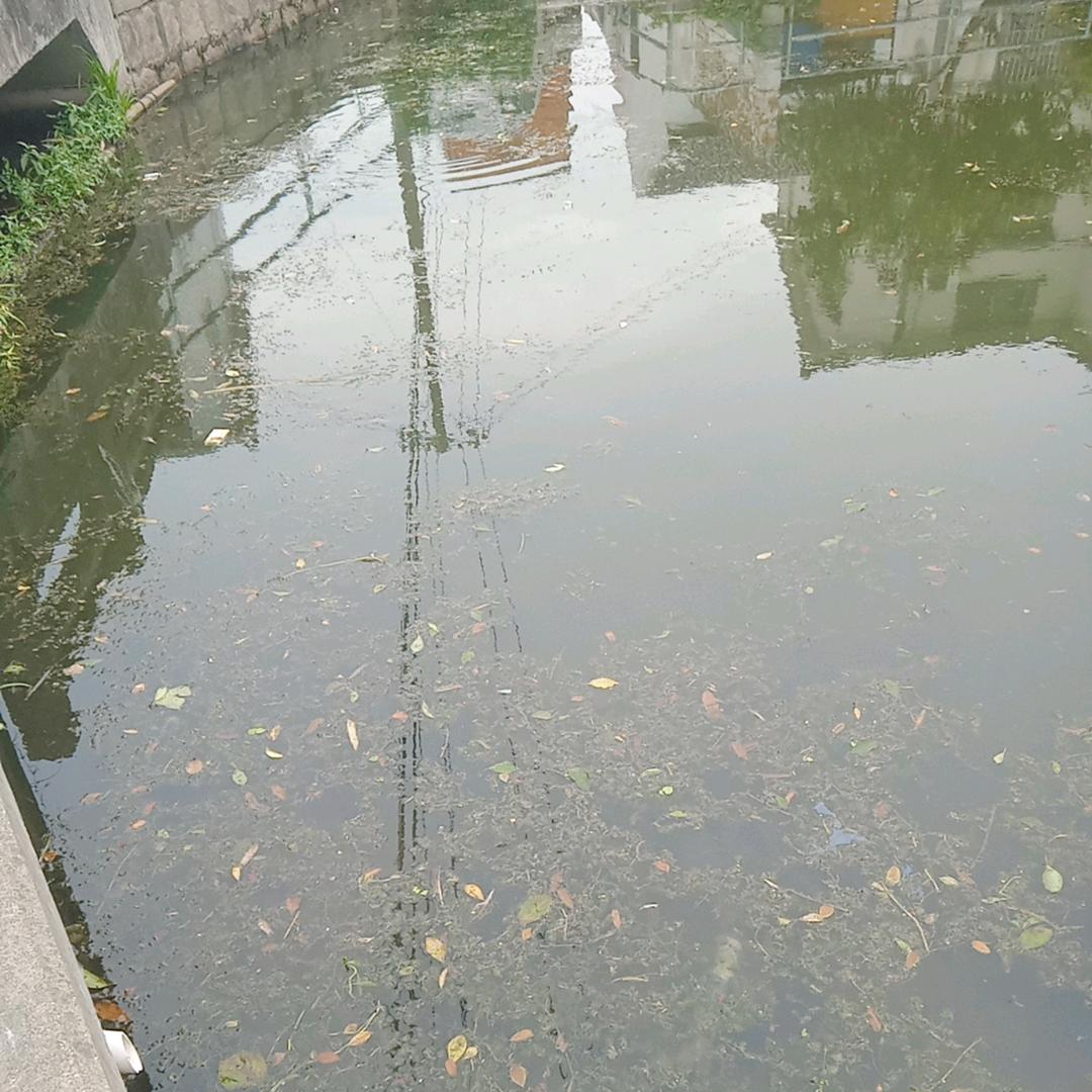 秋东7777