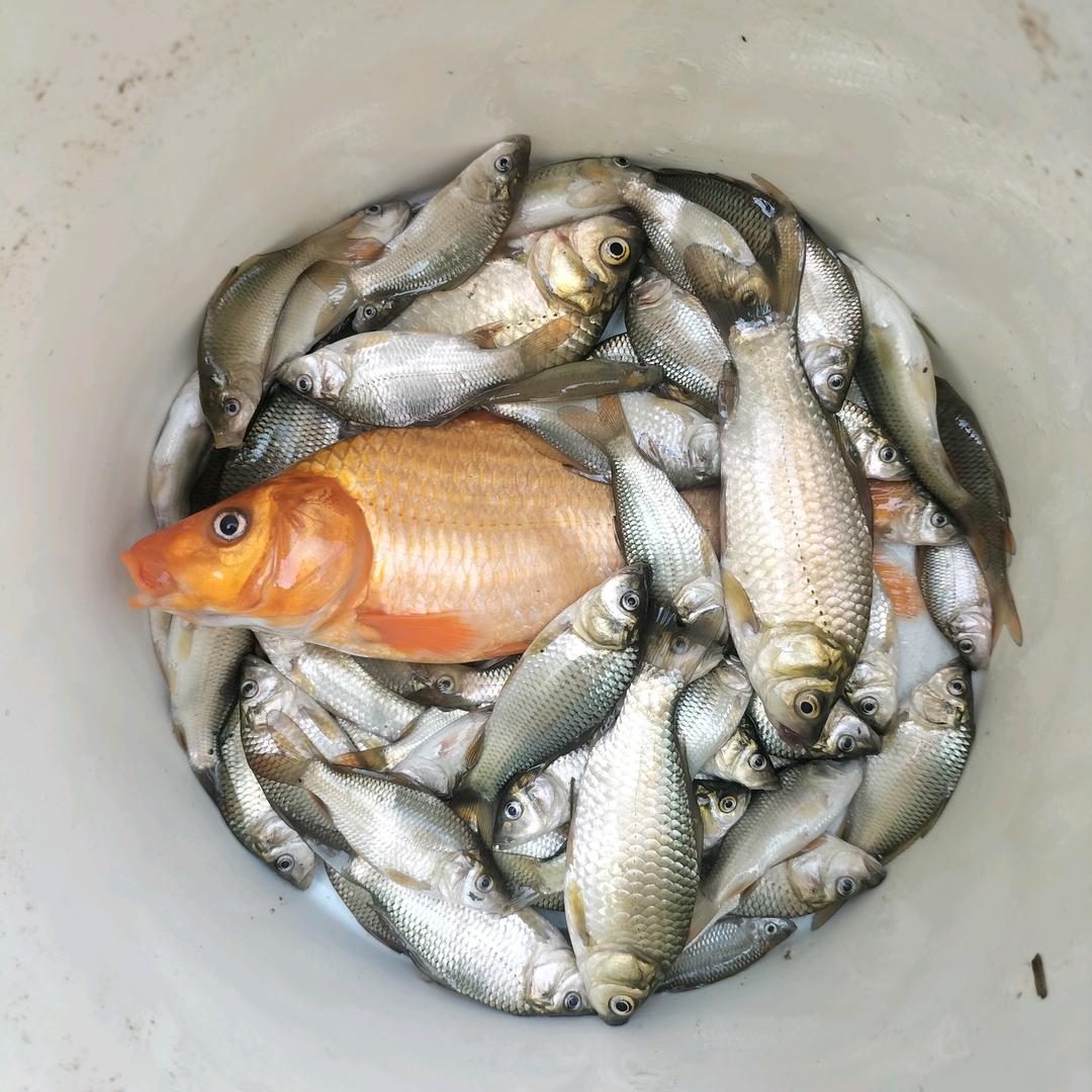 不经他人苦，莫劝他人善