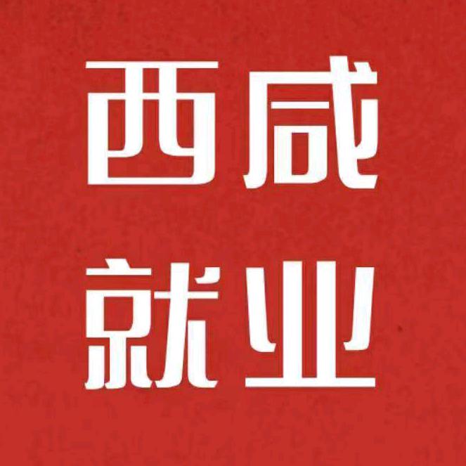 英才信息咨询