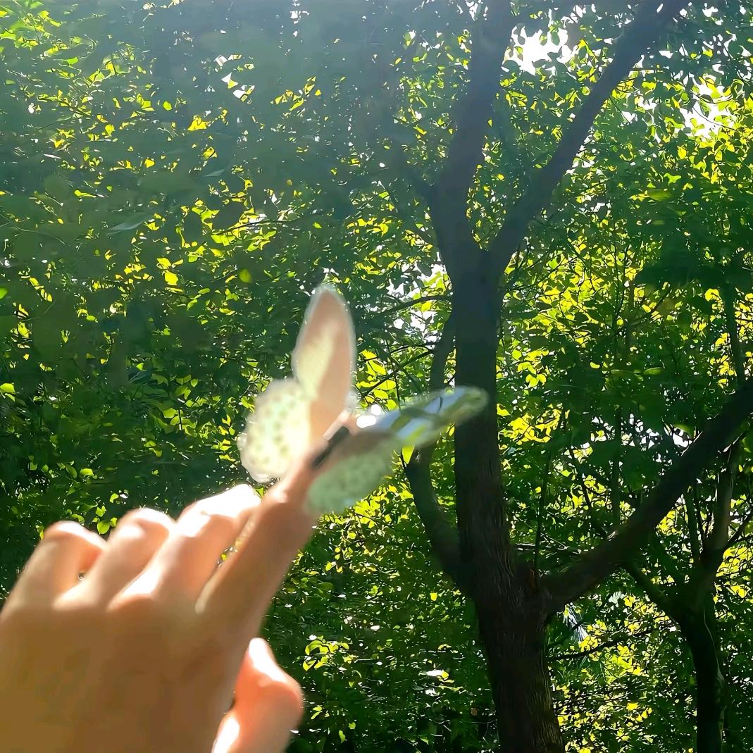 用户7696235522919