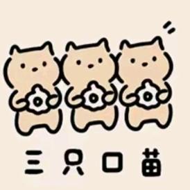 三只口苗童装店
