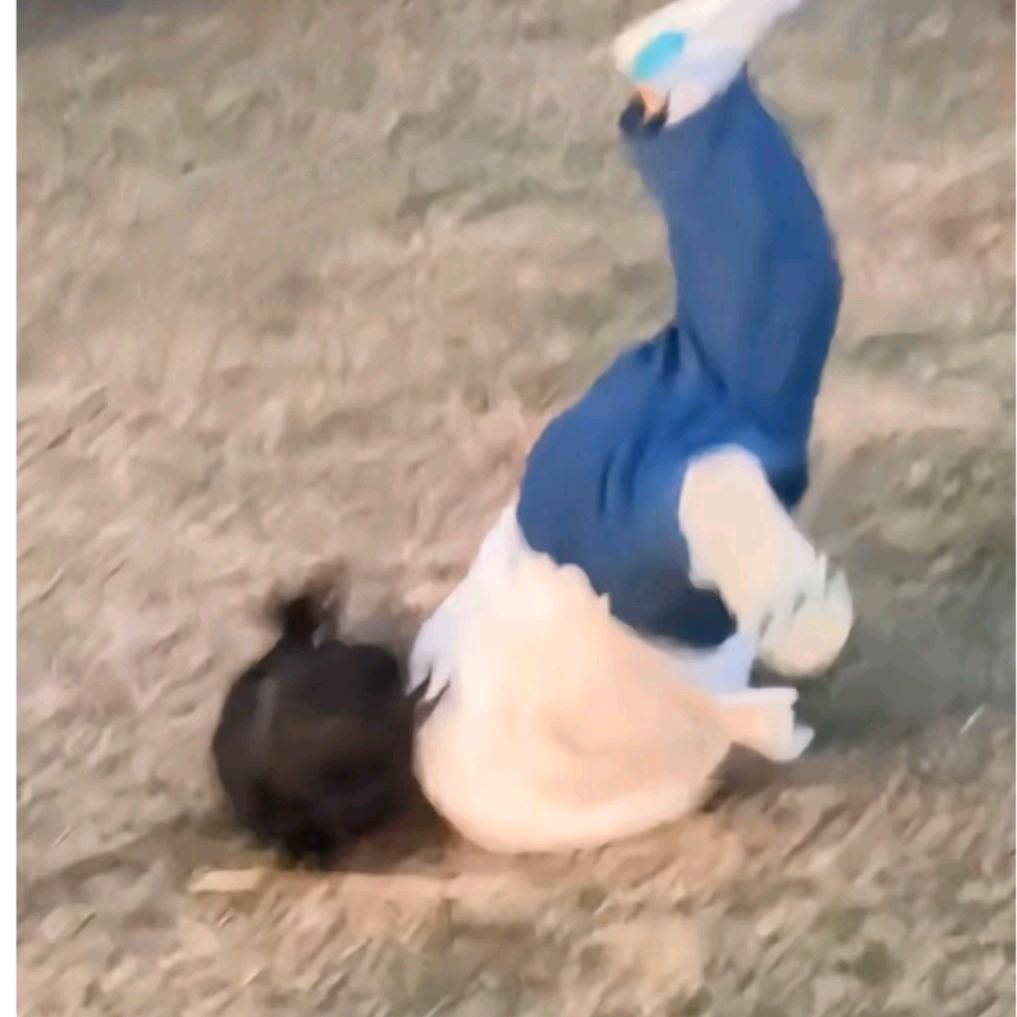 等待