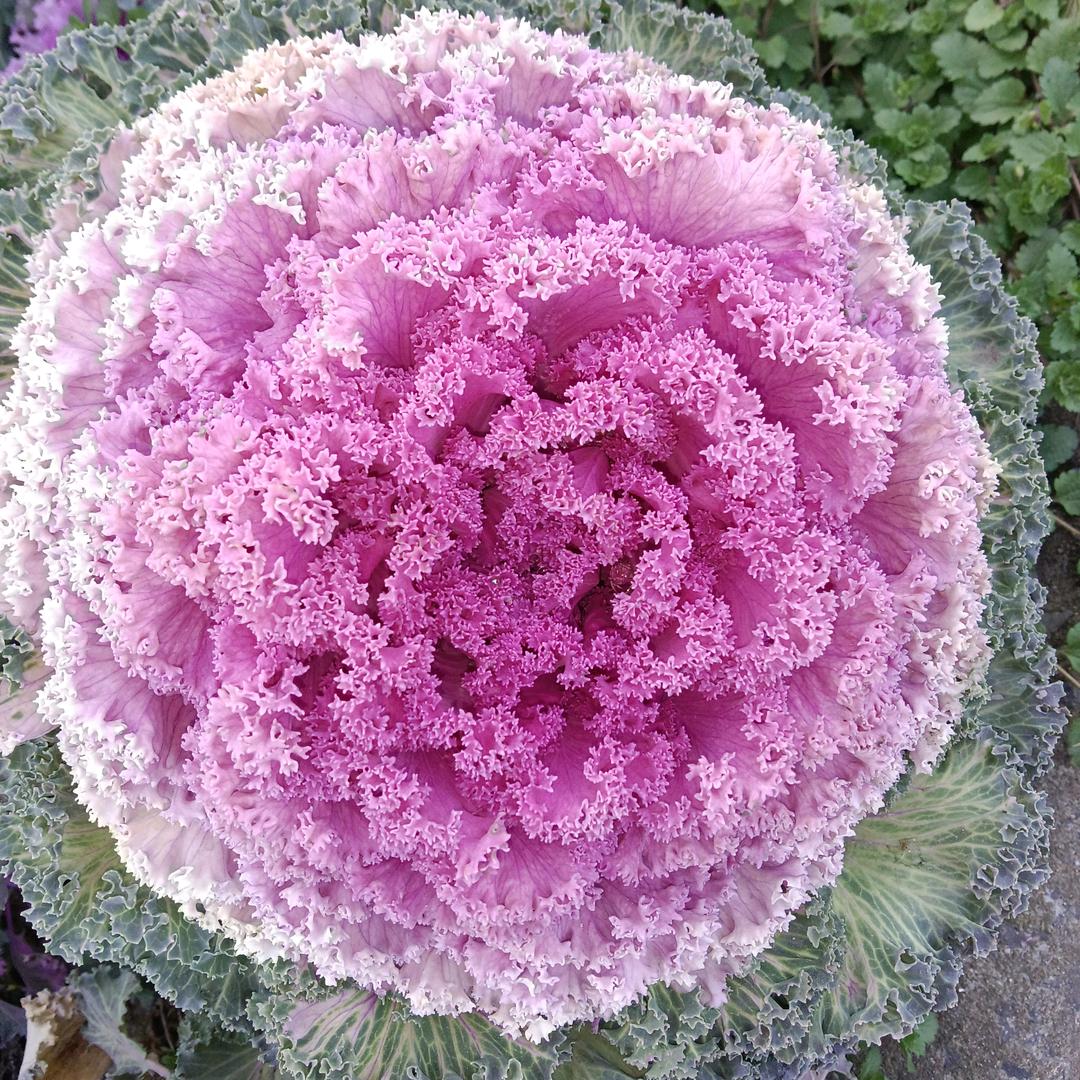 曾经我们遗落的小记忆2206