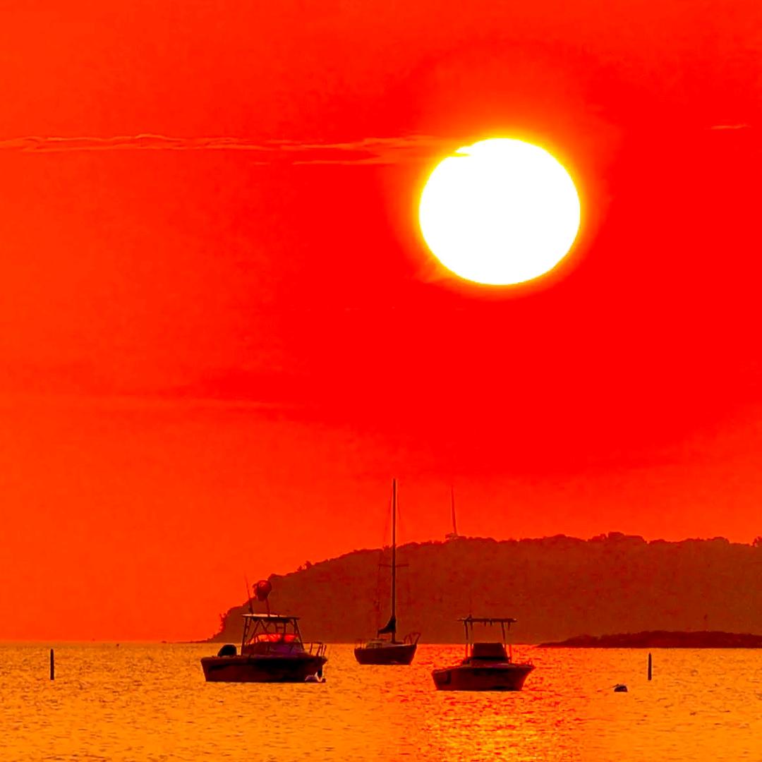 太阳红