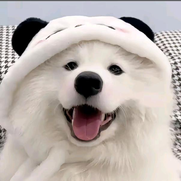 未有昵称！