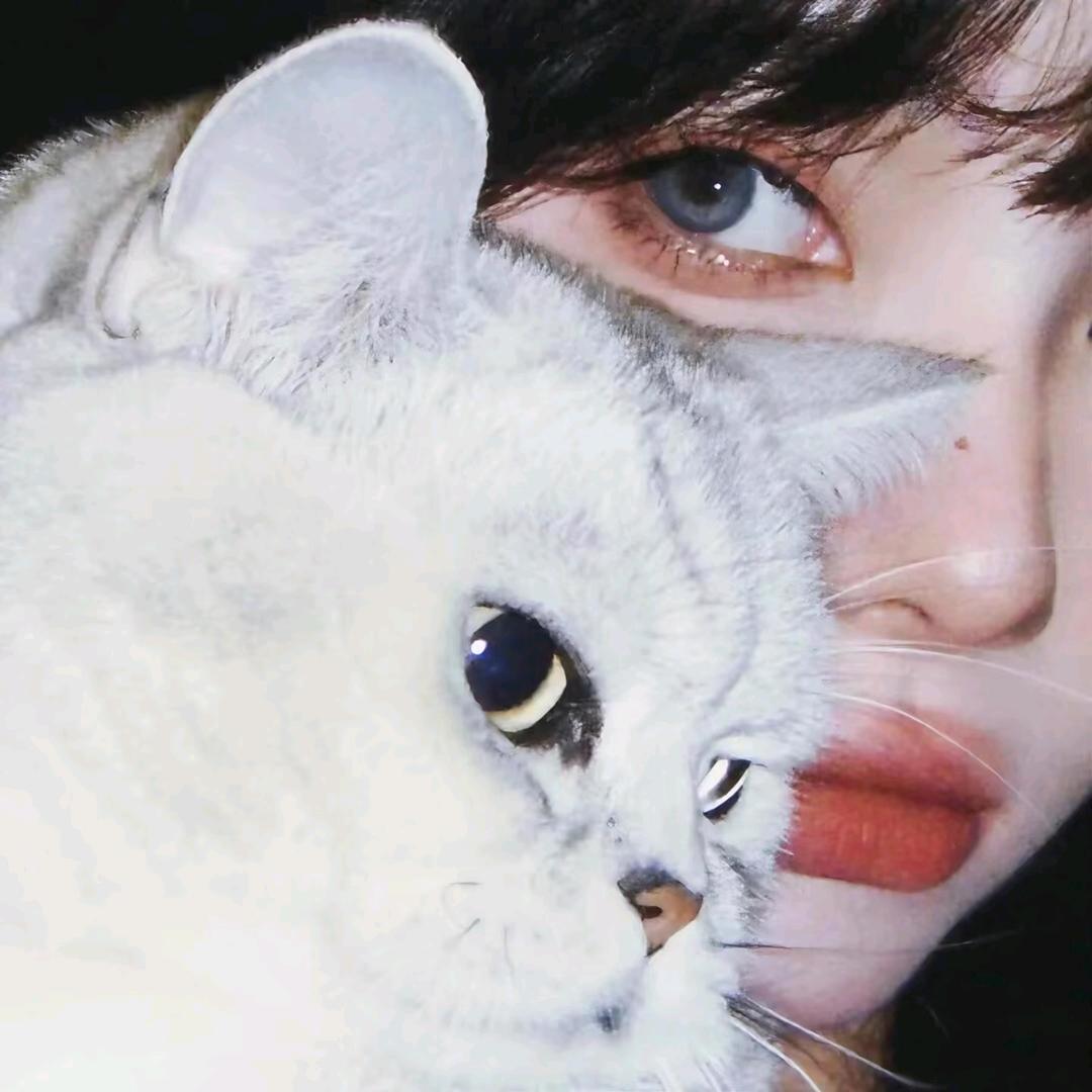 芋泥芒果啵啵bo