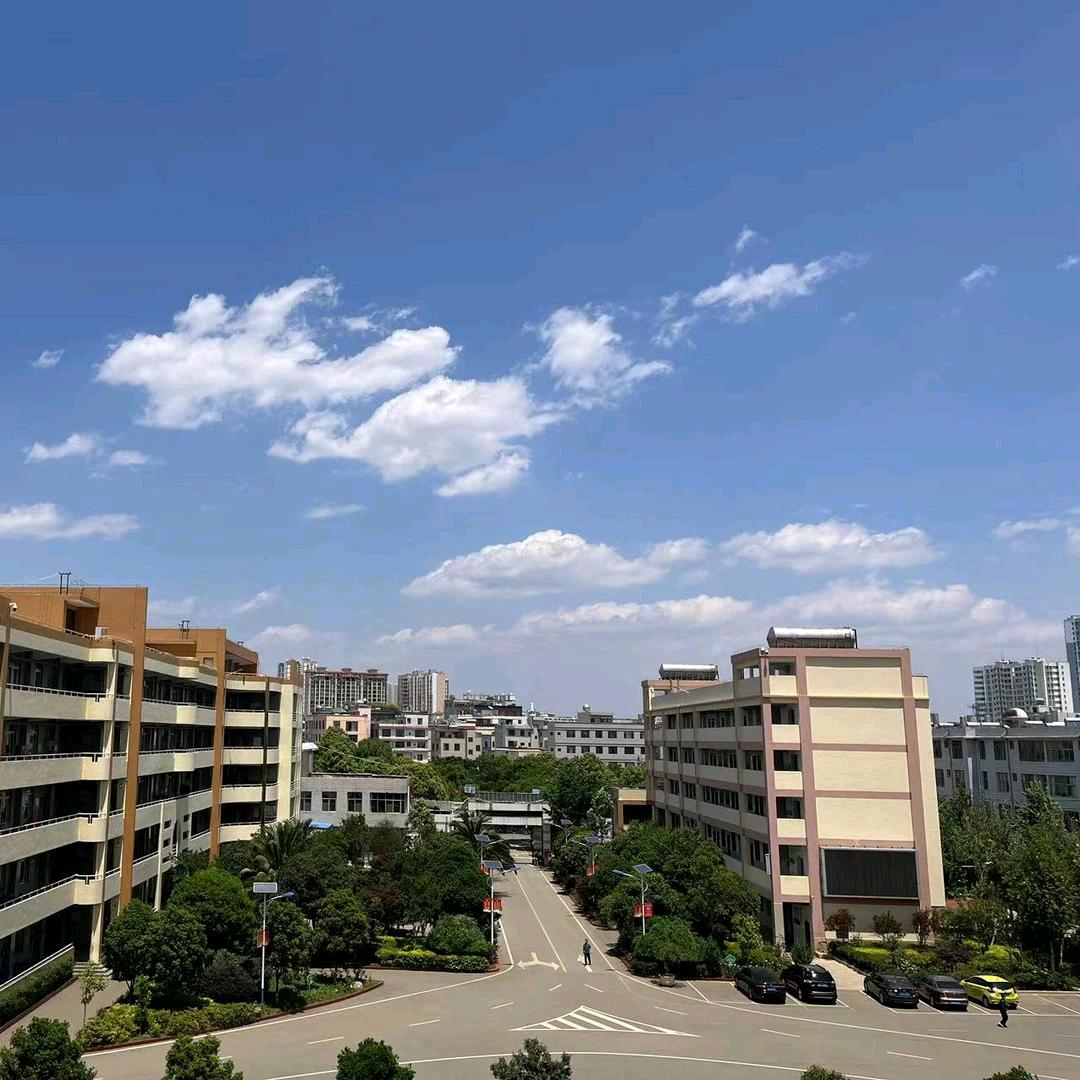 宣威高中七号选手