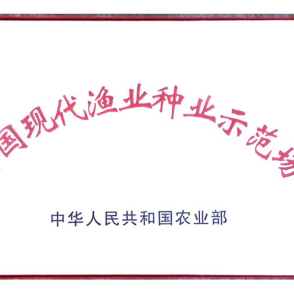 《伟业金鲷》脆肉罗非鱼养殖基地配送中心