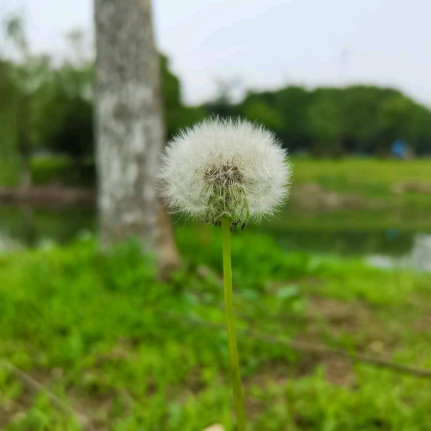 新新爱生活