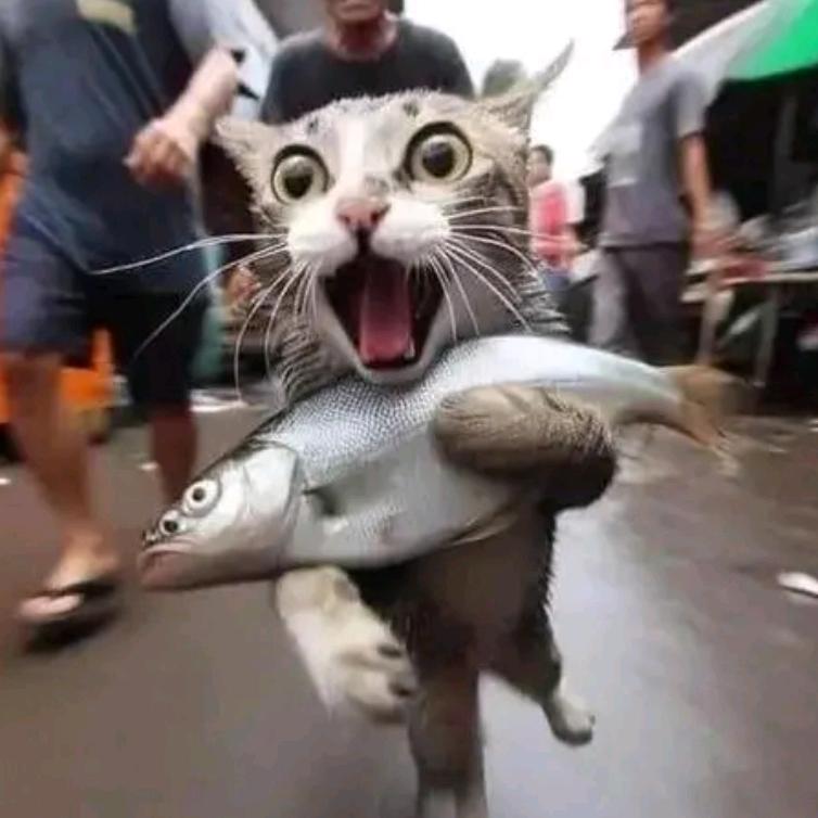 莫凹