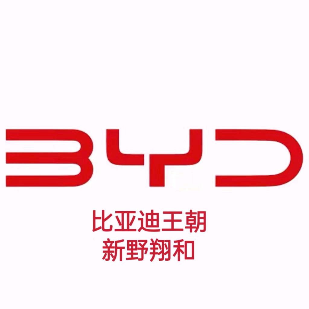 比亚迪新野翔和店