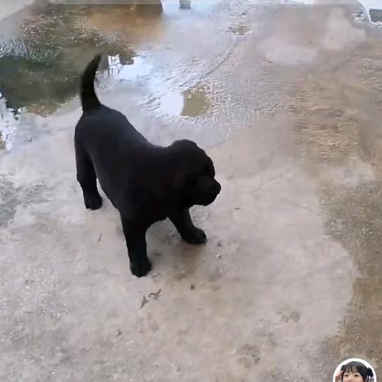 迷♥(｡￫v￩｡)♥茫