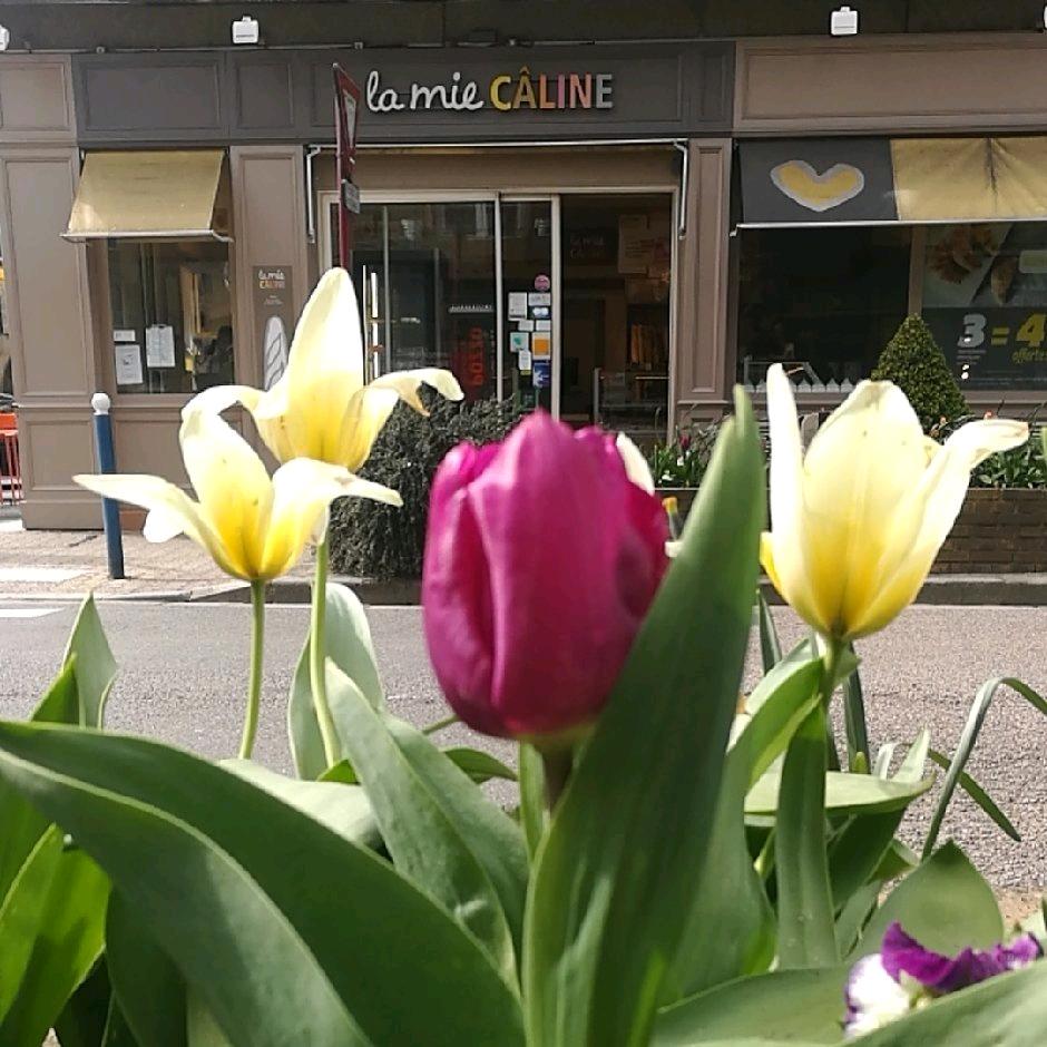 心态，决定一切🌻