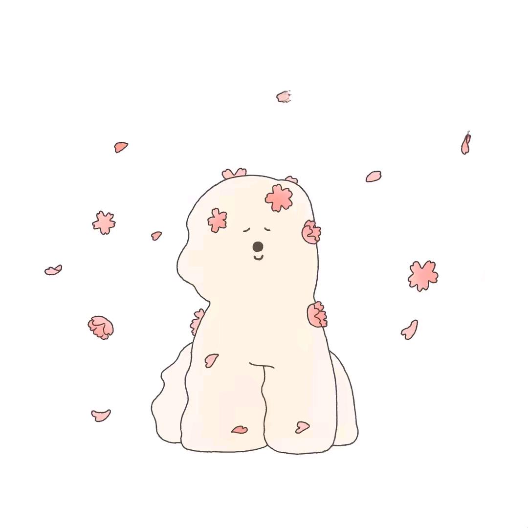 赵宝妮