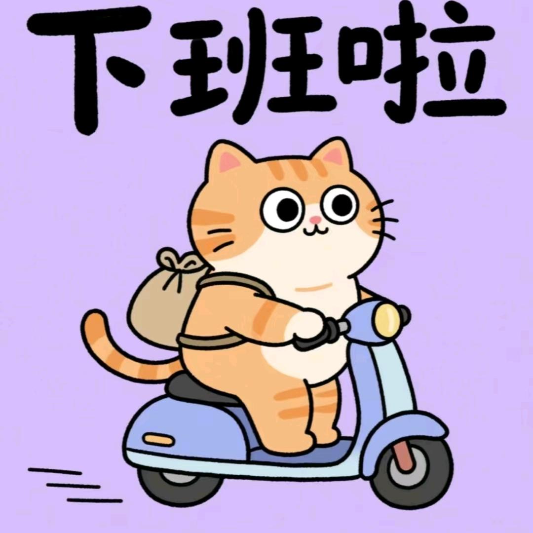 老板的助理