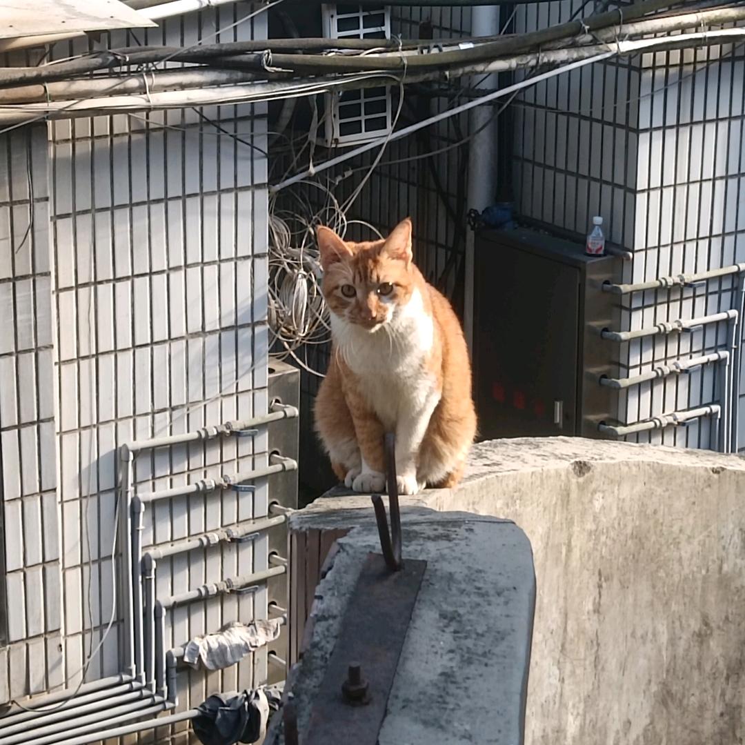 真理
