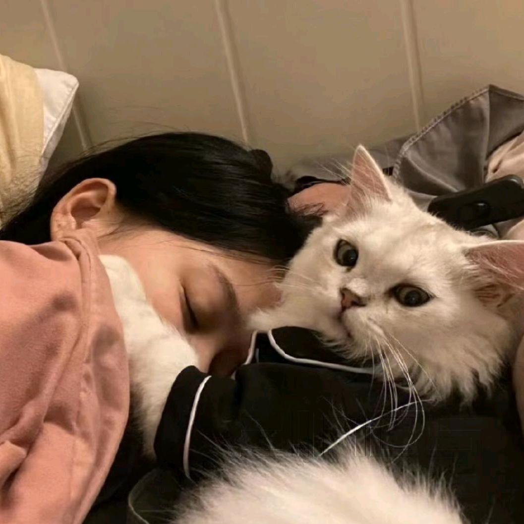 珊珊同學