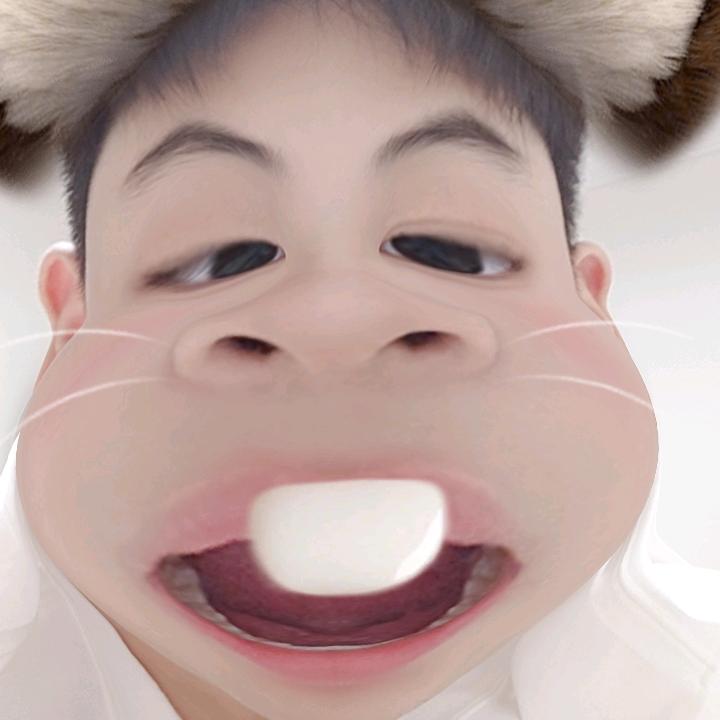 壮壮