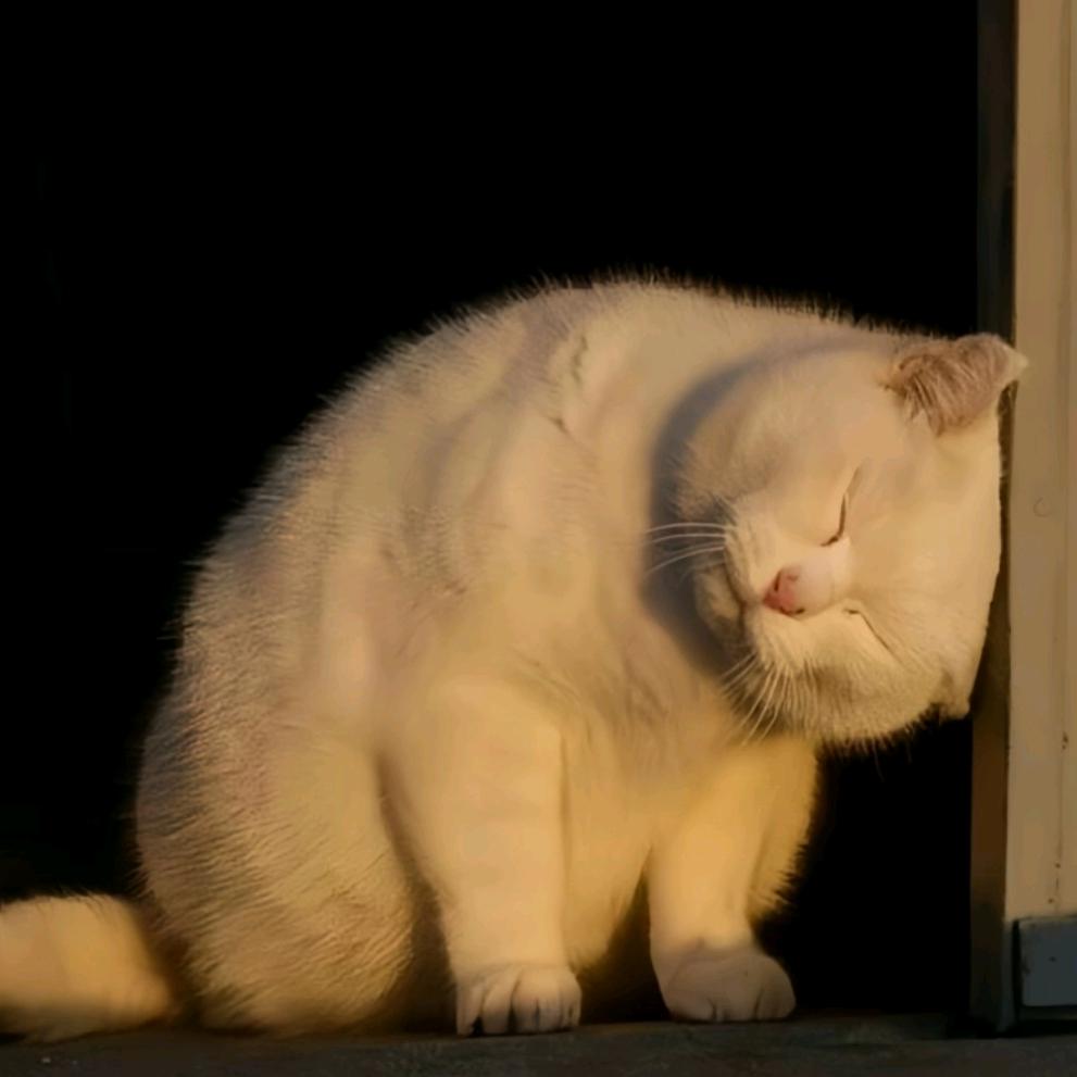 搵炫