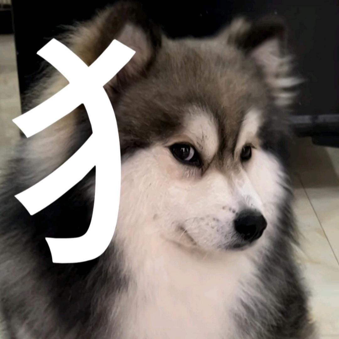 黑芝麻糊（卸载版）