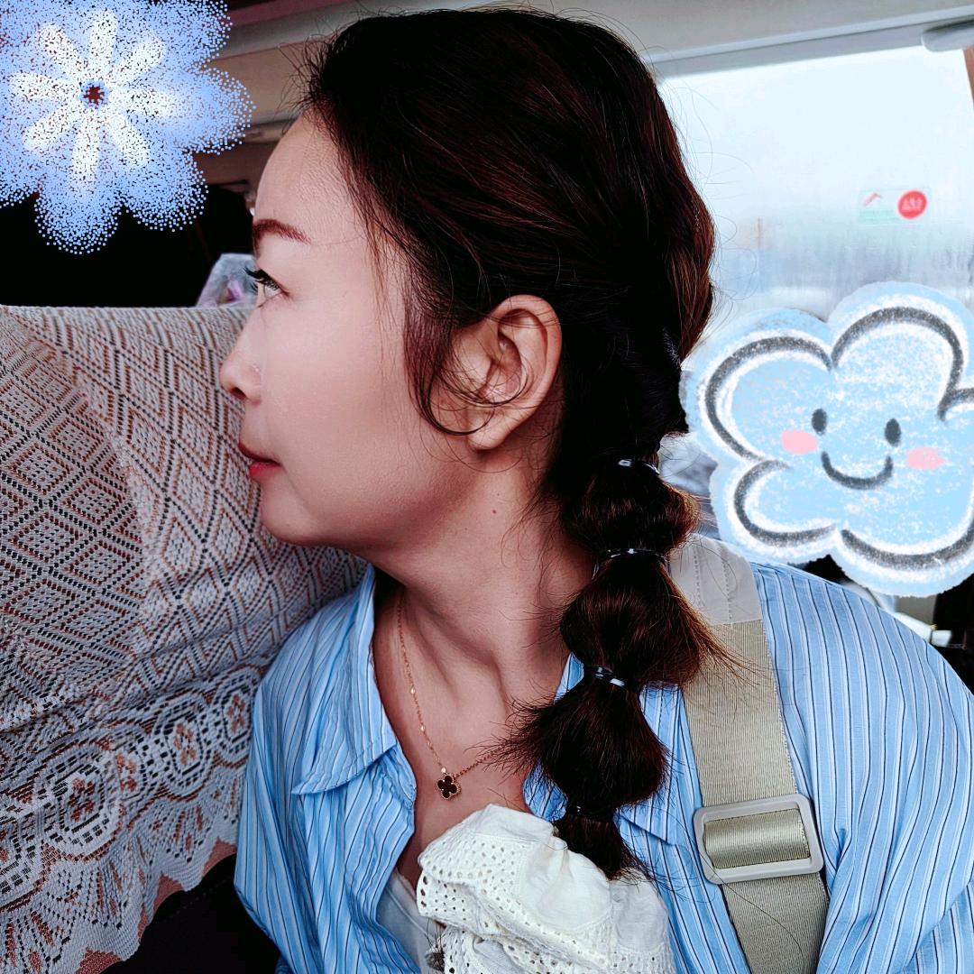 ୧⍤⃝🐷招财福猪猪