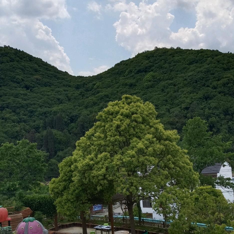 胡金山