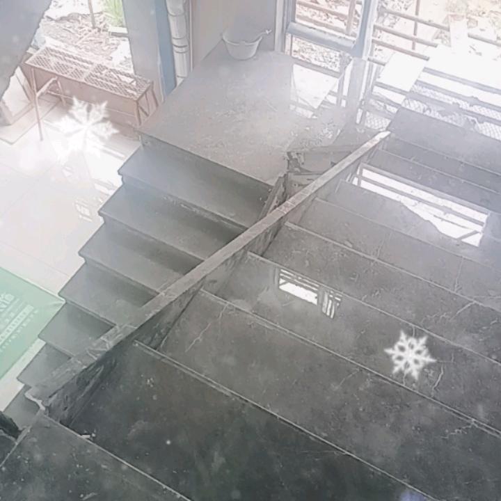 事聂~有陈