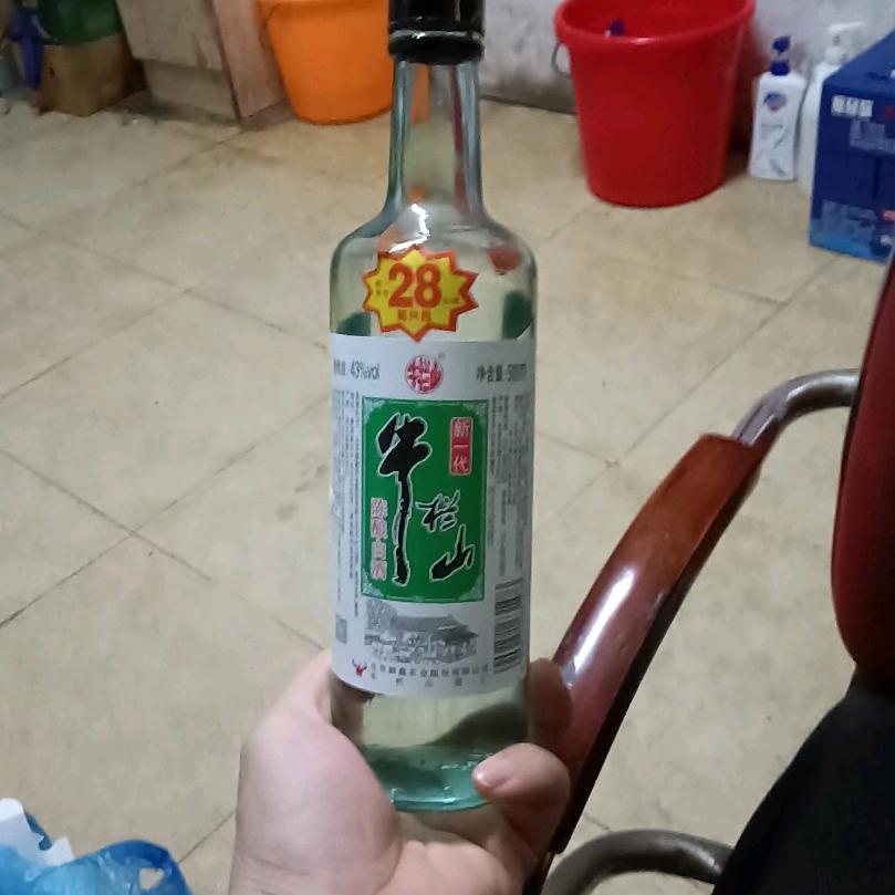 身不由己