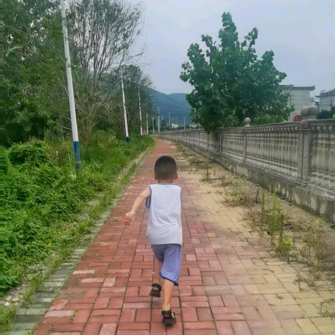 夏来夏往