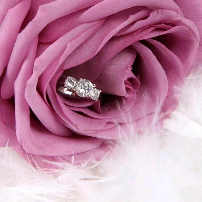 💛碧锐💍