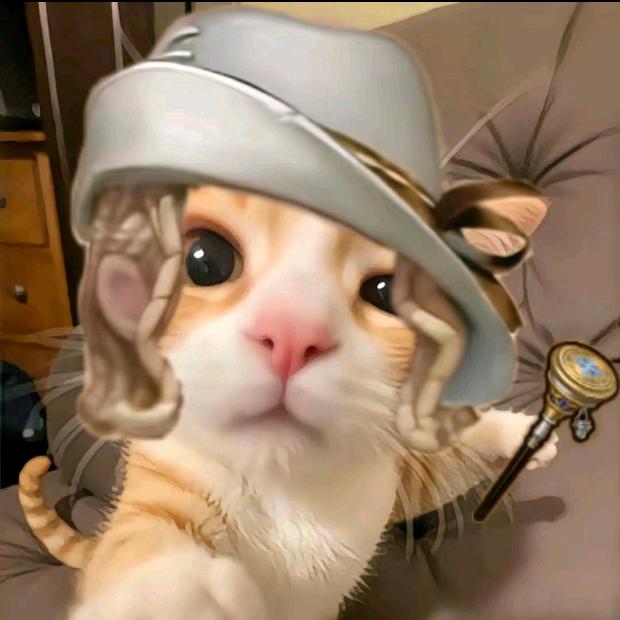 小猫不上学