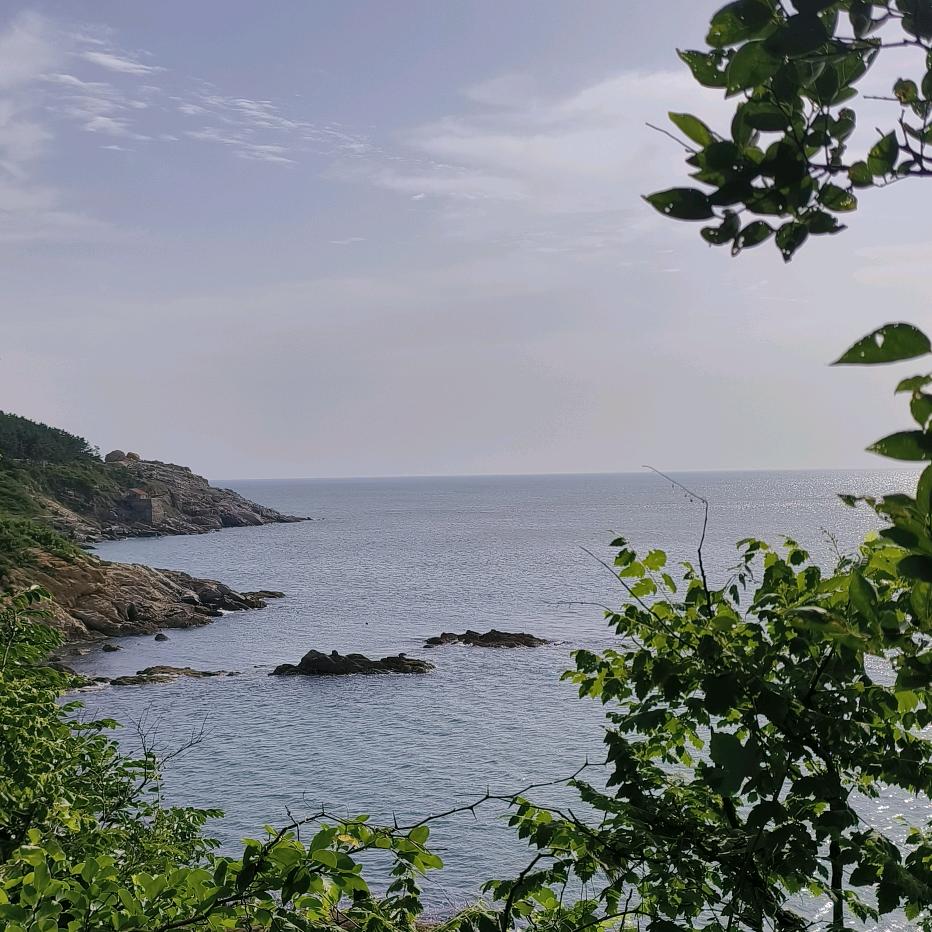 小糊涂