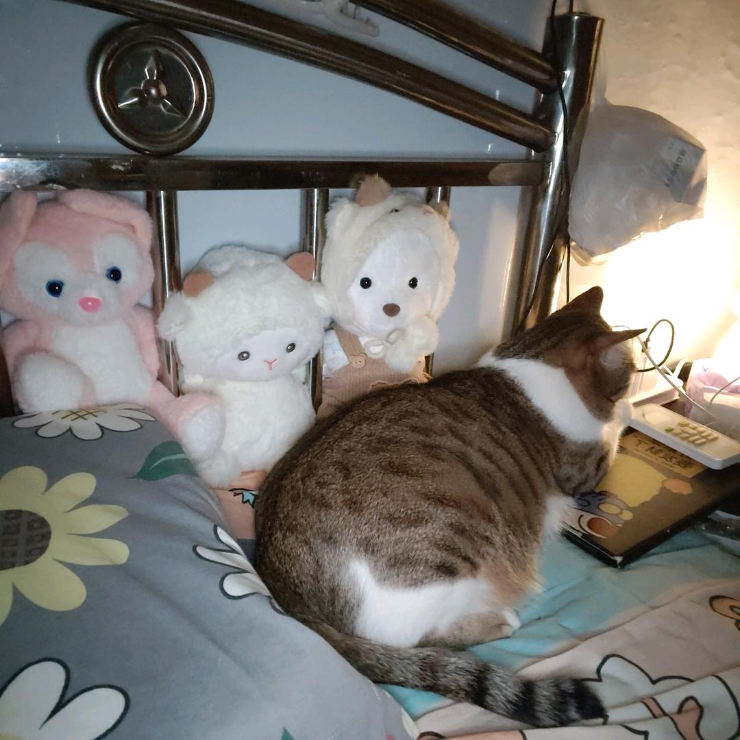 苦